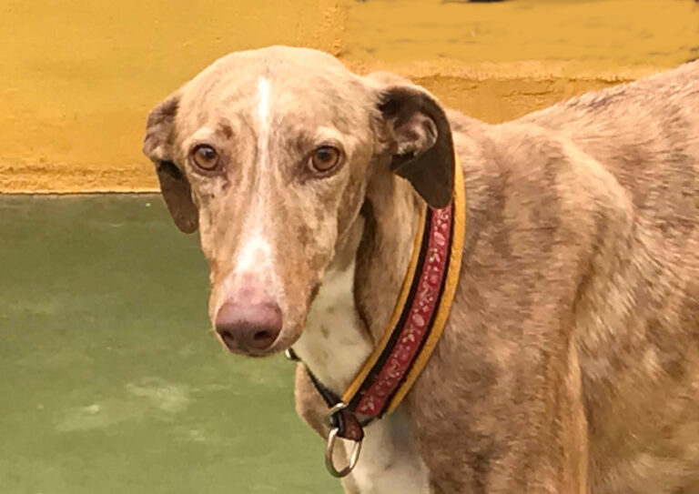 multimedia-foto56396-70-1