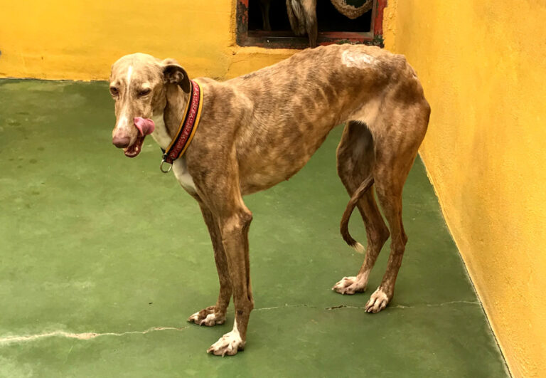 multimedia-foto56397-70-1