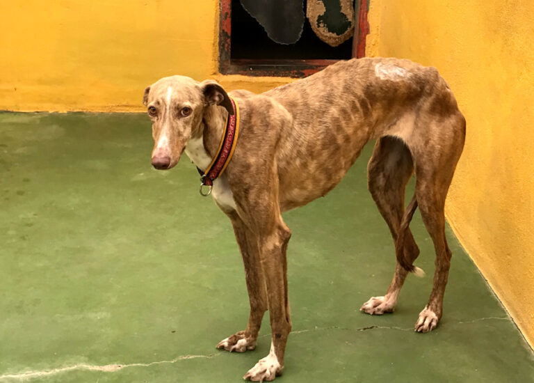 multimedia-foto56398-71-1