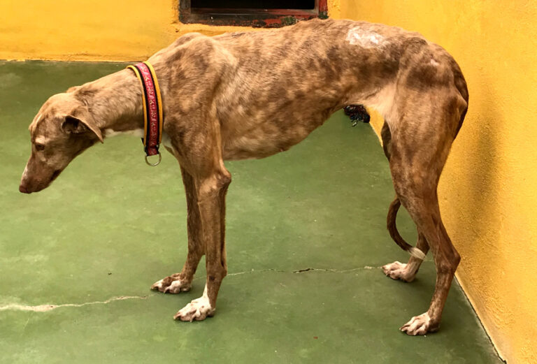 multimedia-foto56399-71-1