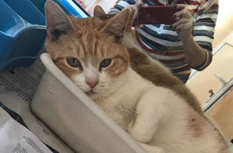 multimedia-foto56400-127-1