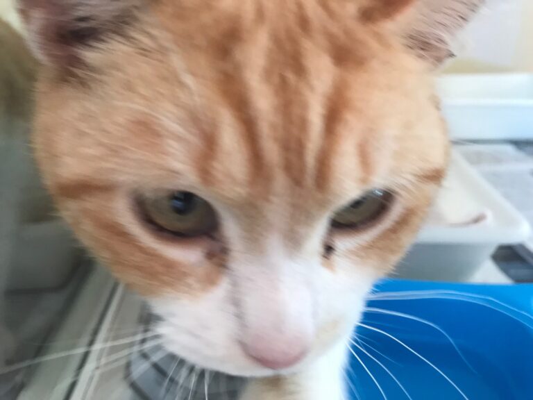 multimedia-foto56404-128-1