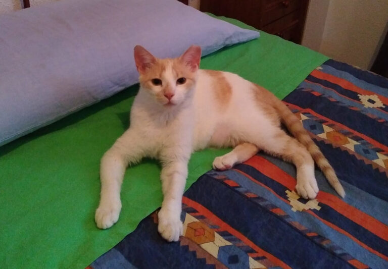 multimedia-foto56430-284-1