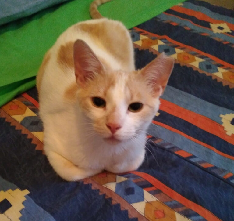 multimedia-foto56431-285-1