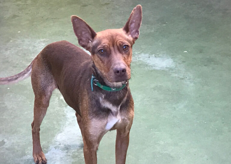 multimedia-foto56466-373-1