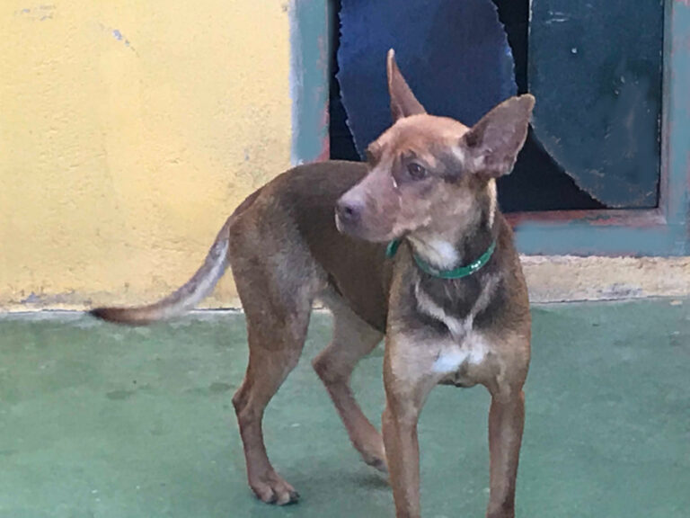 multimedia-foto56468-373-1