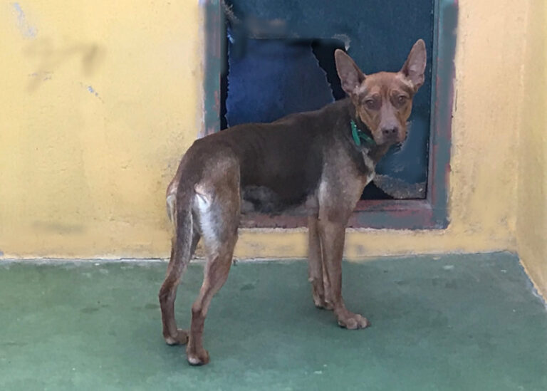 multimedia-foto56469-373-1