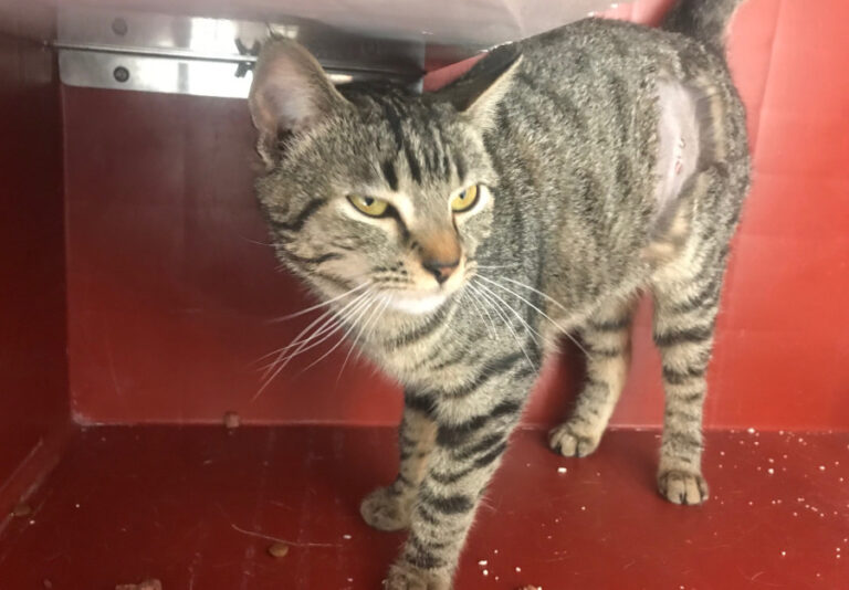 multimedia-foto56472-53-1