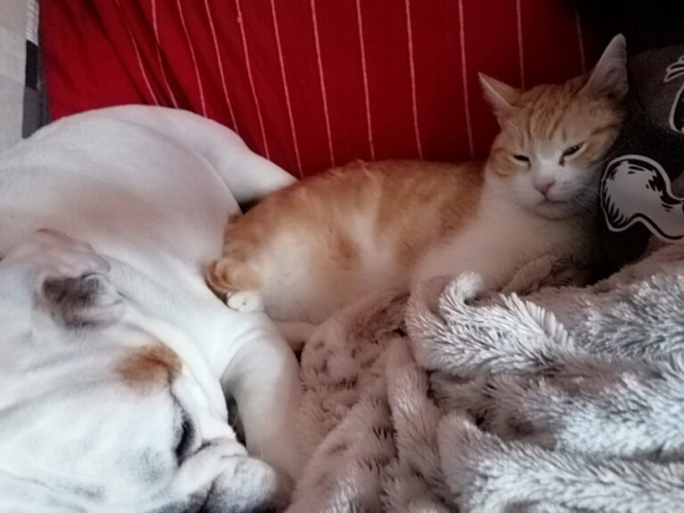 multimedia-foto56583-314-1