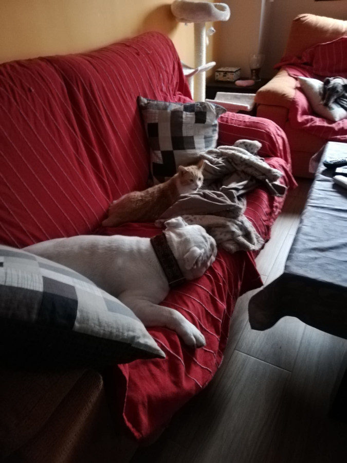 multimedia-foto56585-314-1