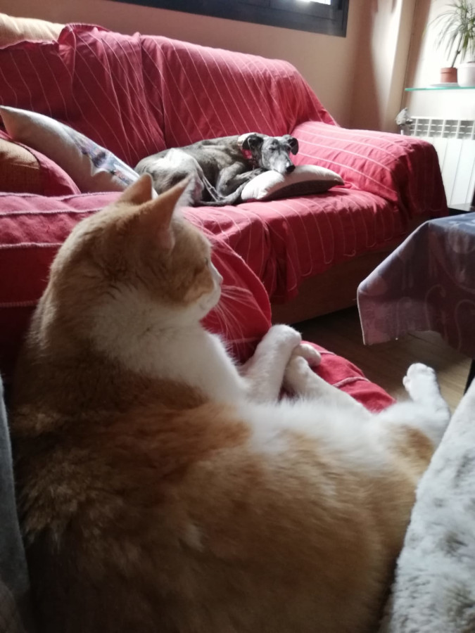 multimedia-foto56586-314-1