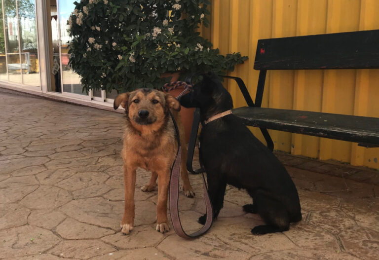 multimedia-foto56587-654-1