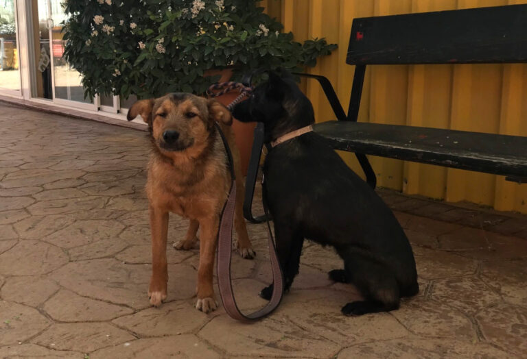 multimedia-foto56588-654-1