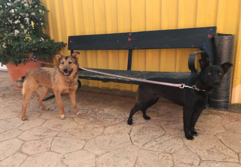 multimedia-foto56589-654-1