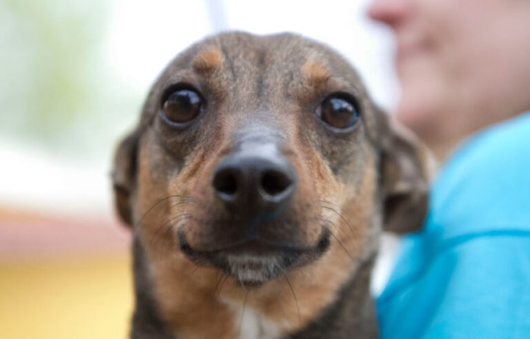 multimedia-foto56601-318-1