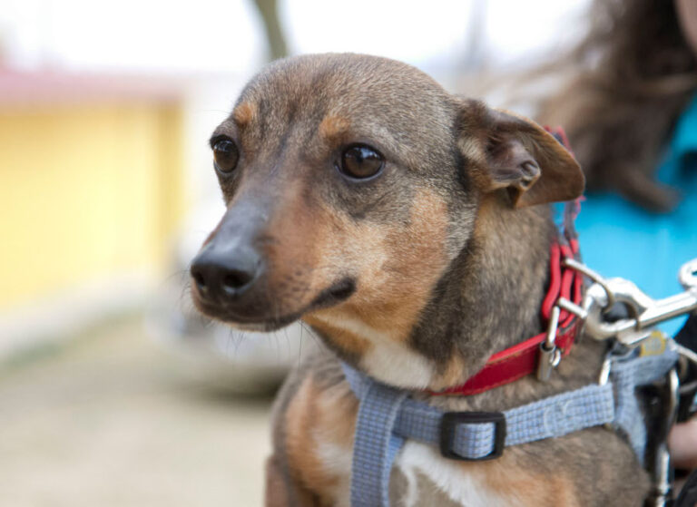 multimedia-foto56602-318-1