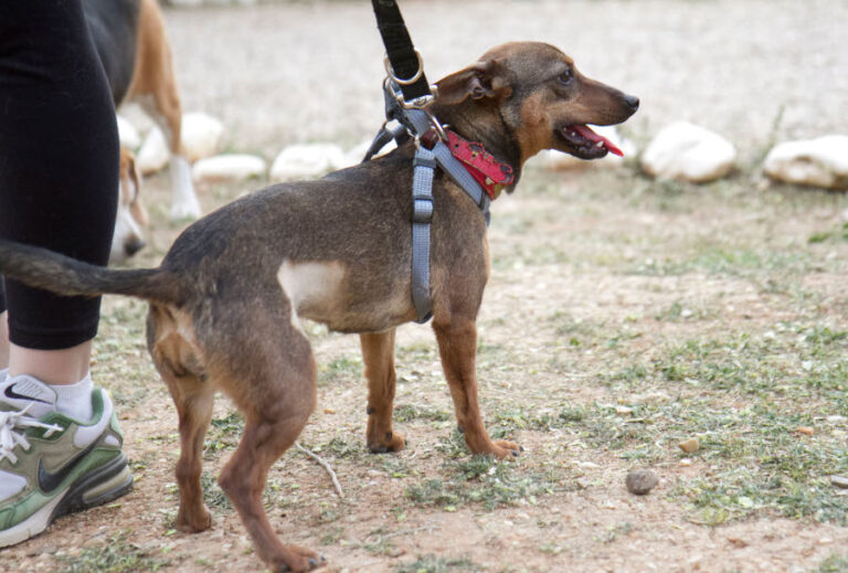 multimedia-foto56603-318-1