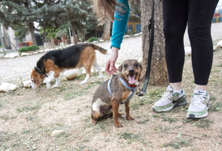 multimedia-foto56604-318-1