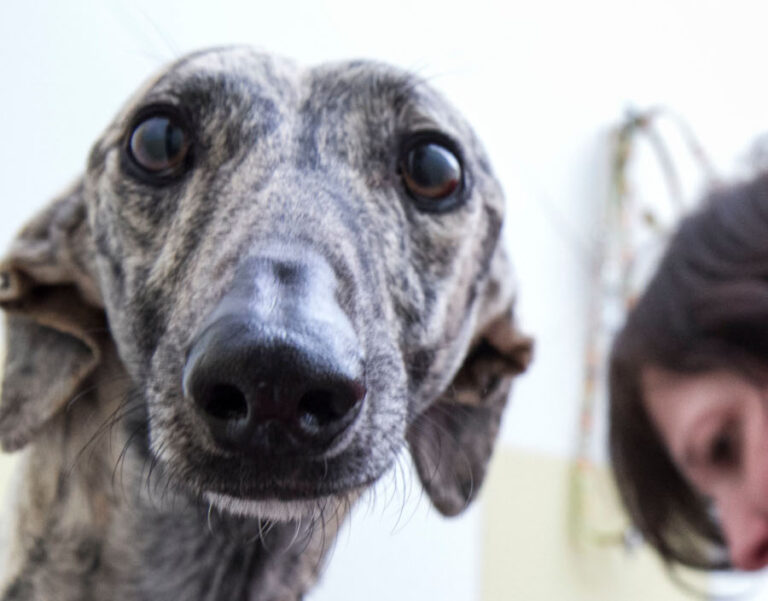 multimedia-foto56623-660-1