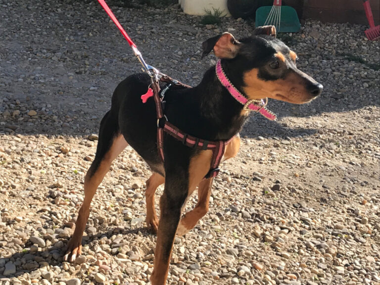 multimedia-foto56719-457-1