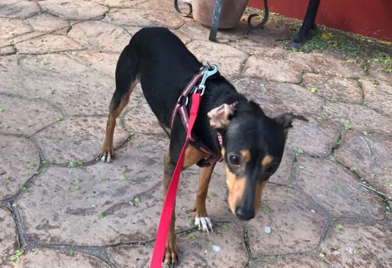 multimedia-foto56720-457-1