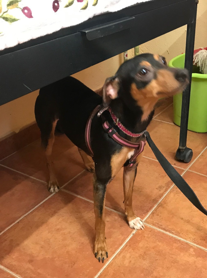 multimedia-foto56721-457-1