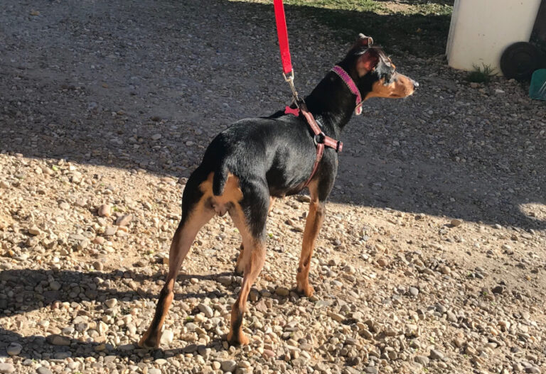 multimedia-foto56722-457-1