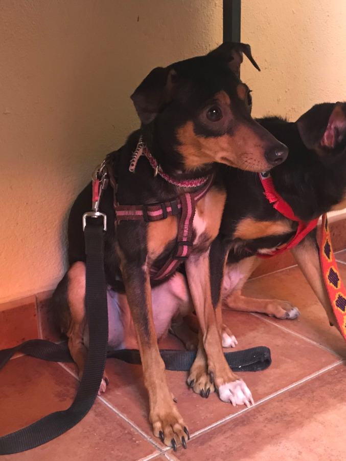 multimedia-foto56723-457-1