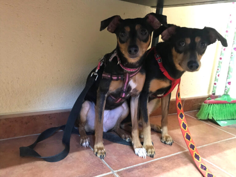 multimedia-foto56724-458-1