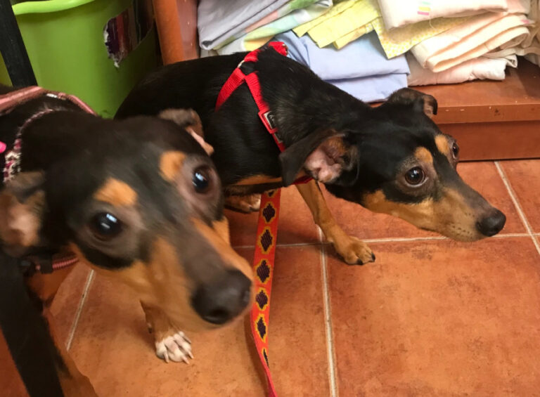 multimedia-foto56725-458-1