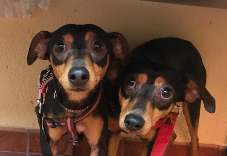 multimedia-foto56727-458-1