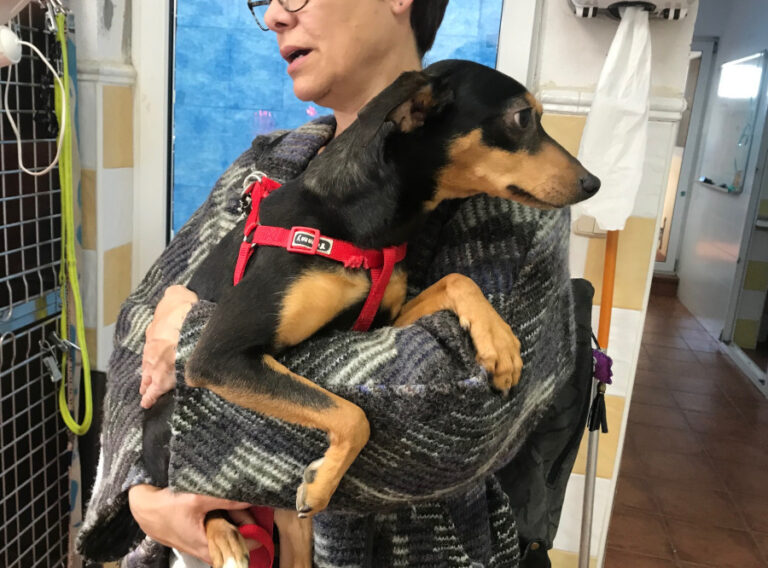 multimedia-foto56728-542-1