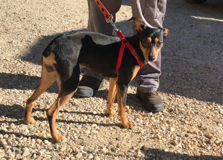 multimedia-foto56729-543-1