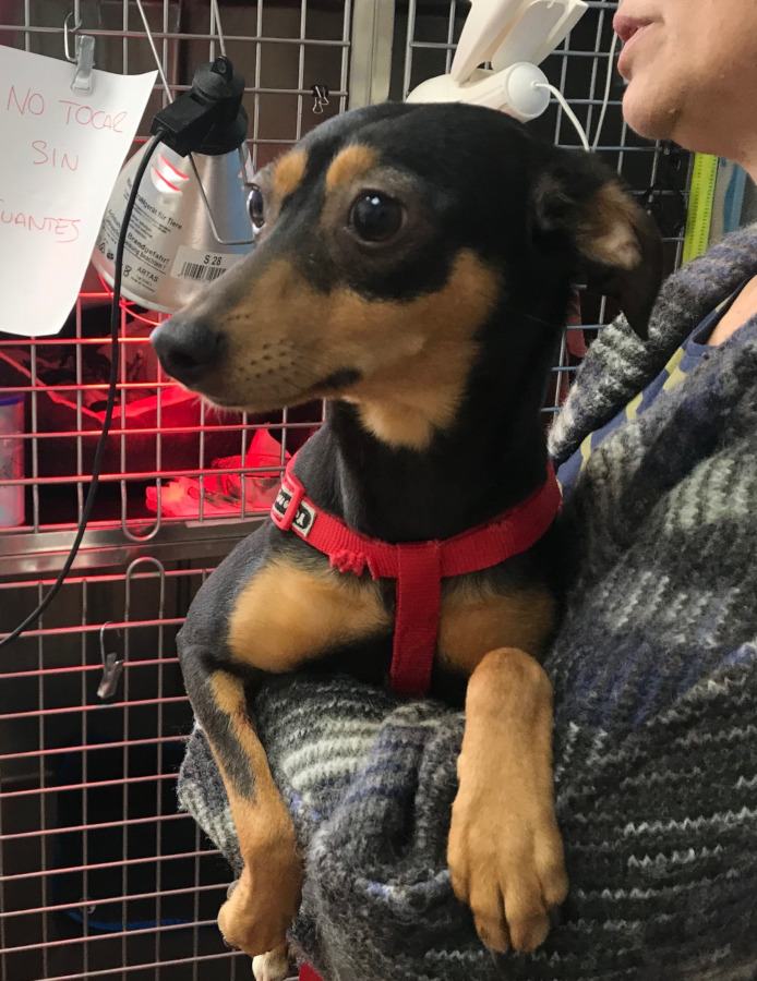 multimedia-foto56730-543-1