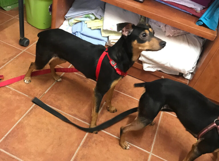 multimedia-foto56731-543-1