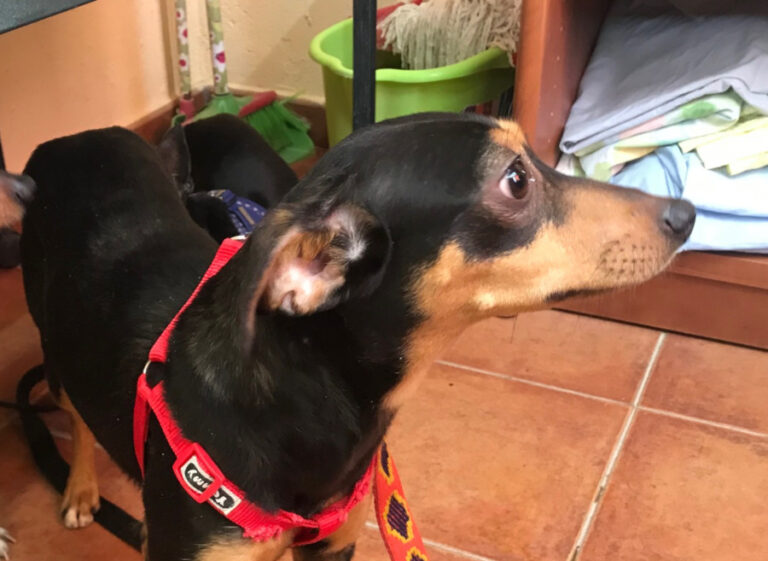 multimedia-foto56732-543-1