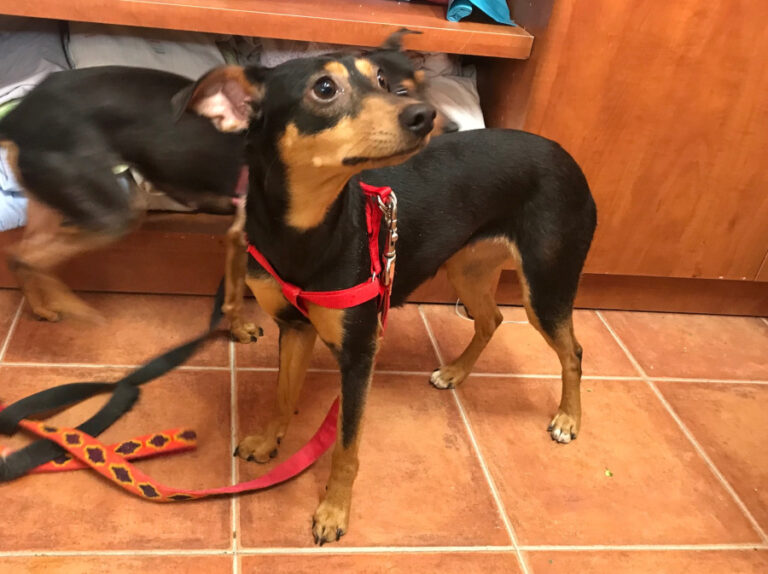 multimedia-foto56733-543-1