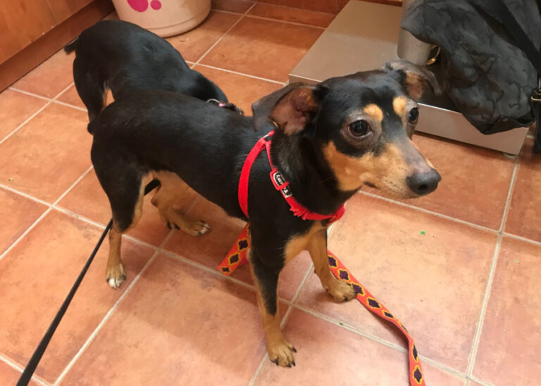 multimedia-foto56734-544-1