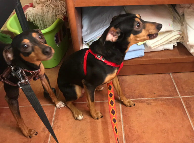 multimedia-foto56735-544-1