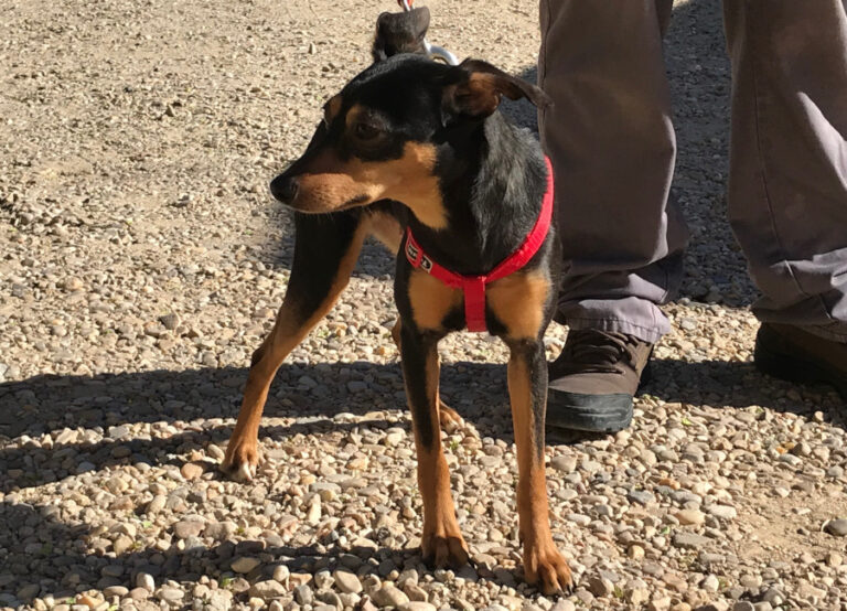 multimedia-foto56736-544-1