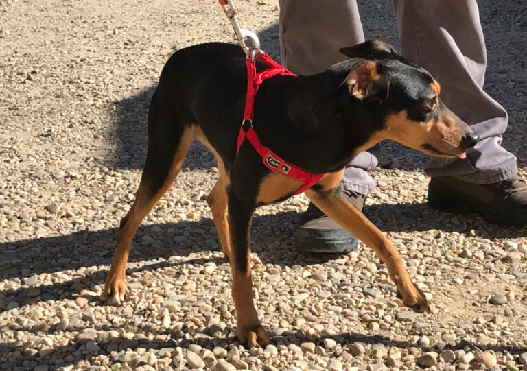 multimedia-foto56737-544-1