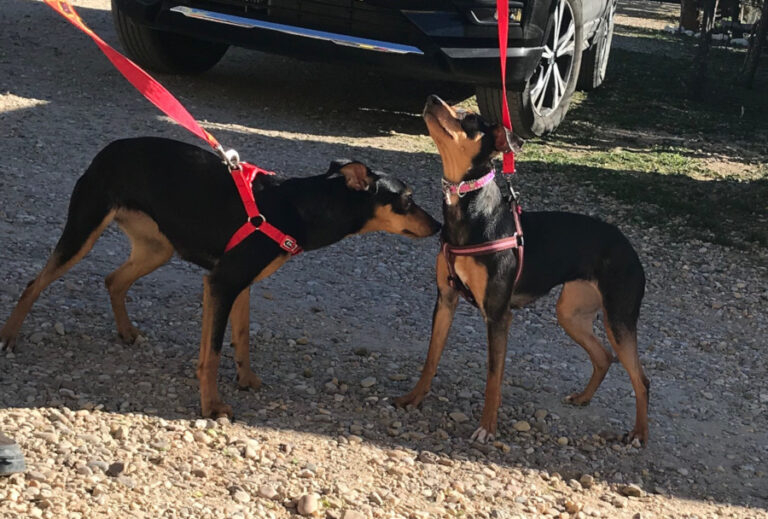 multimedia-foto56739-585-1