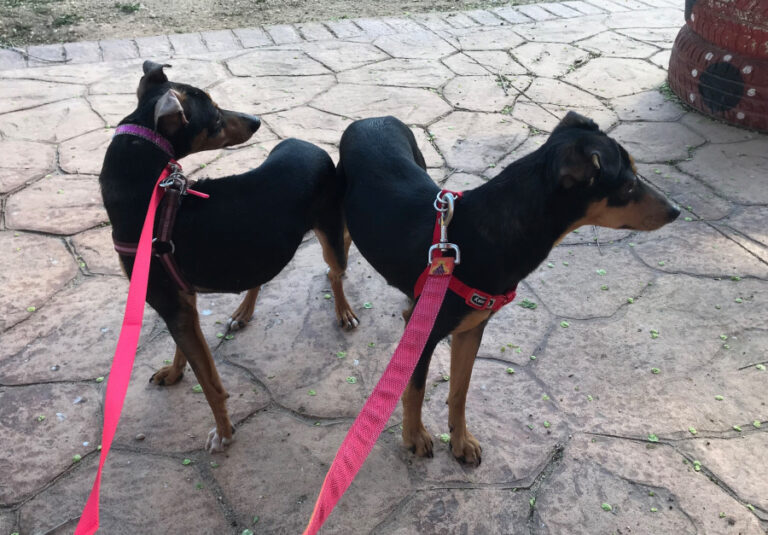 multimedia-foto56743-645-1