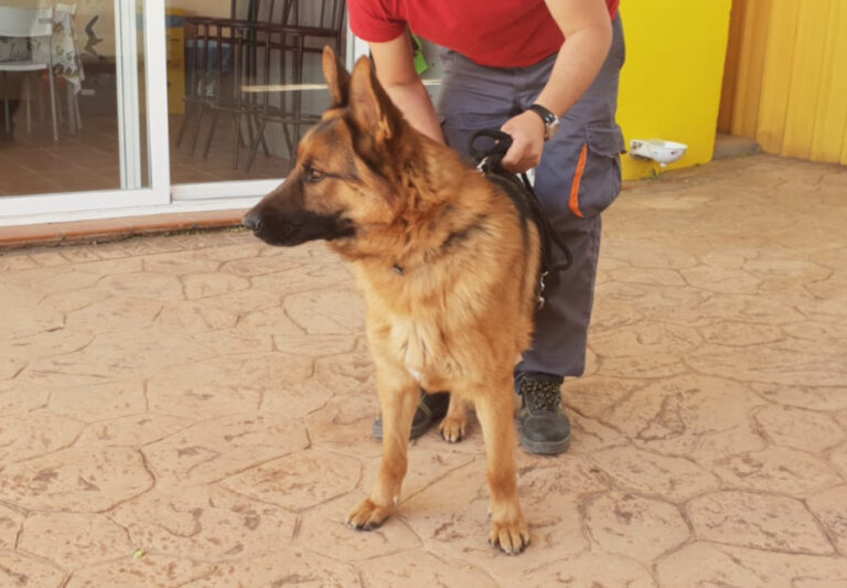 multimedia-foto56749-182-1