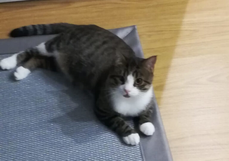 multimedia-foto56757-104-1