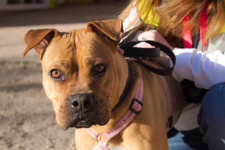 multimedia-foto56793-852-1