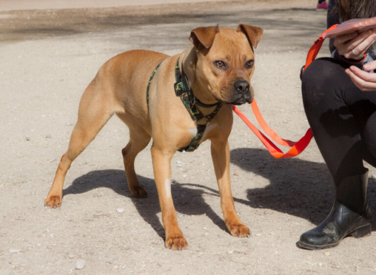 multimedia-foto56794-852-1