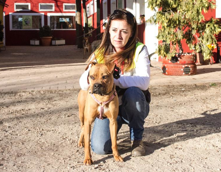 multimedia-foto56795-852-1