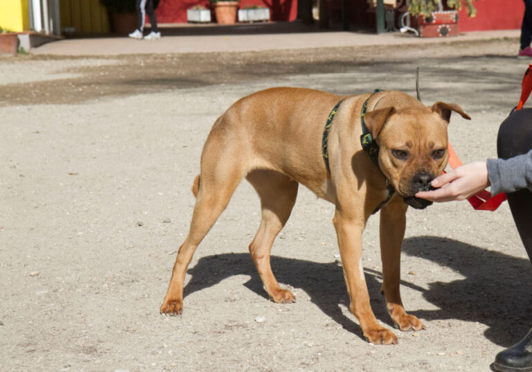 multimedia-foto56796-852-1