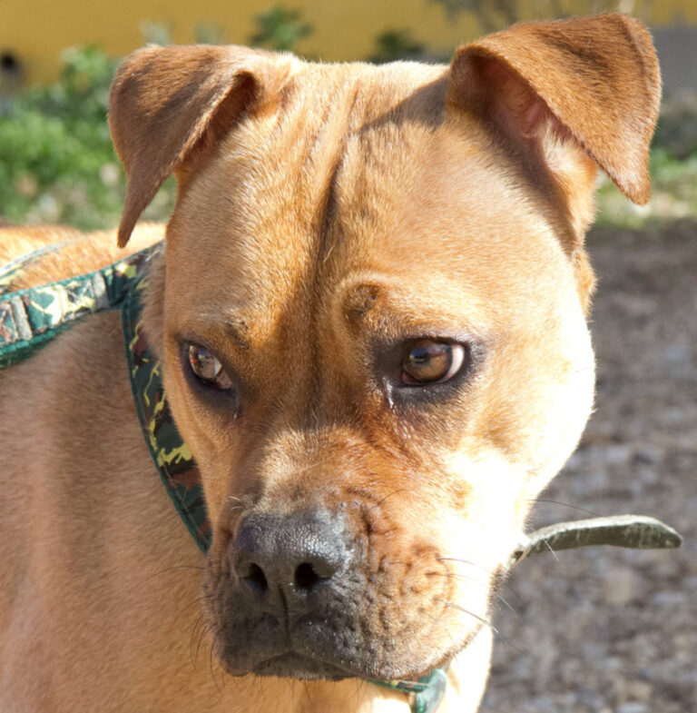 multimedia-foto56797-853-1